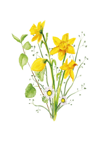 Daffodils & Daisies- Watercolour Art Print