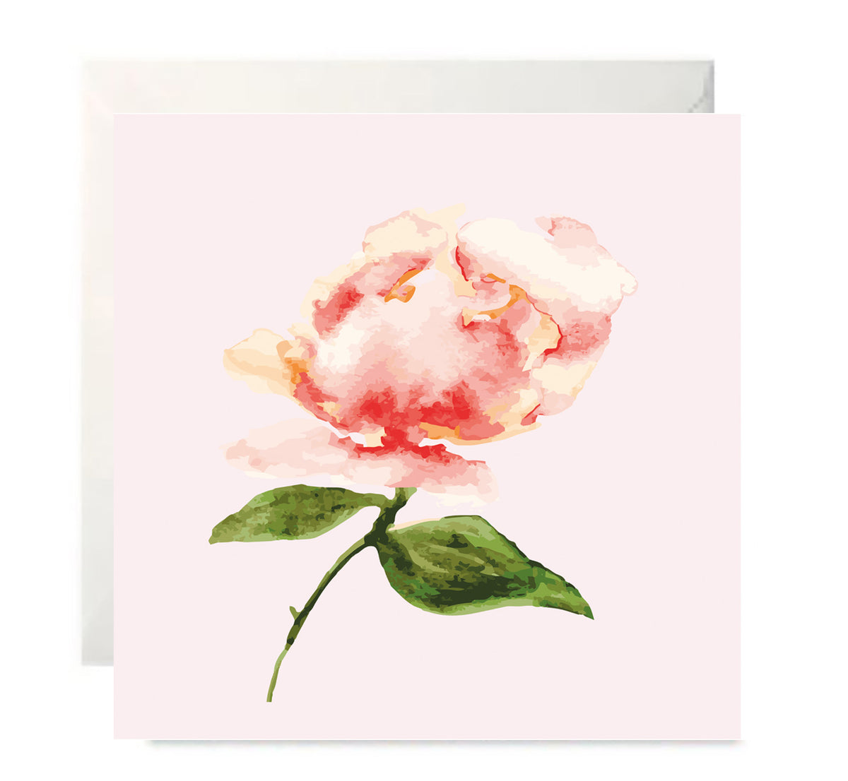 Peach Peony-Botanical Blank Greeting Card