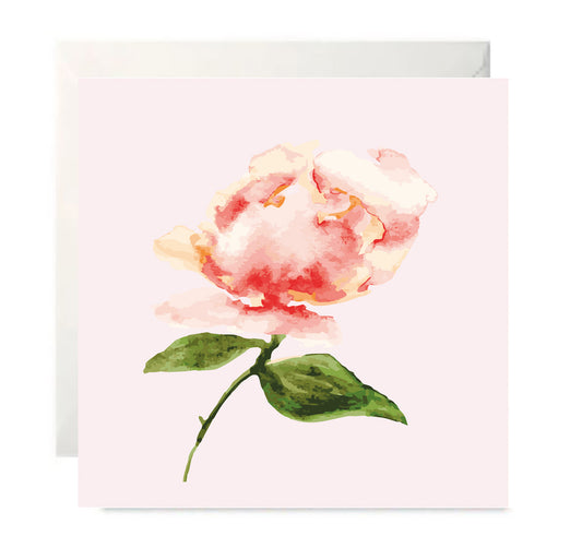 Peach Peony-Botanical Blank Greeting Card