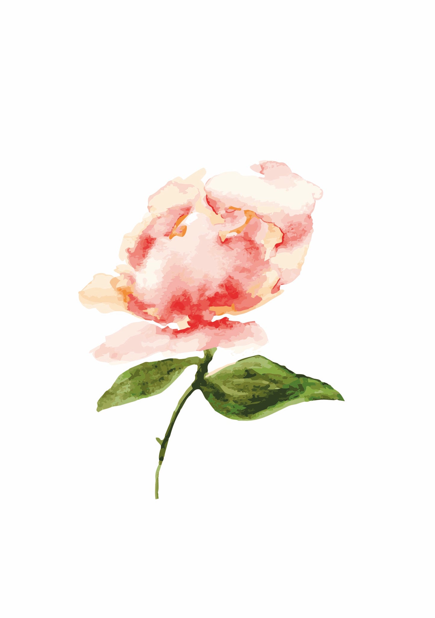 Delicate Peach Peony - Watercolour Art Print