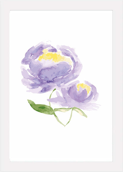 Purple Peonies - Watercolour Art Print