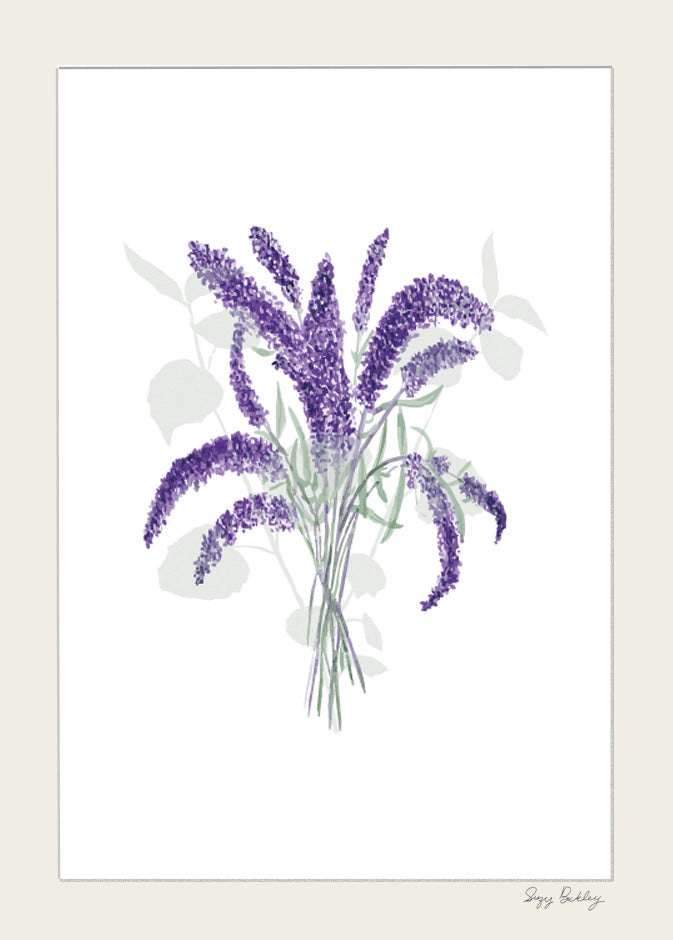 Buddleia- Watercolour Art Print