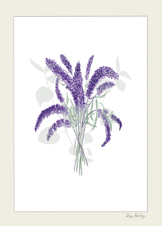 Buddleia- Watercolour Art Print